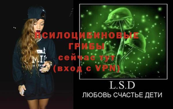 дживик Вязники