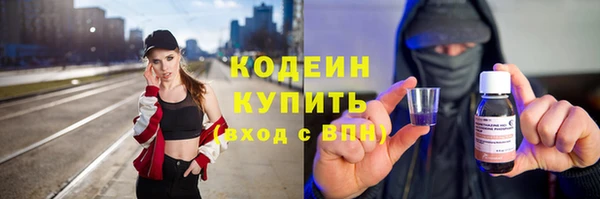 дмт Вяземский