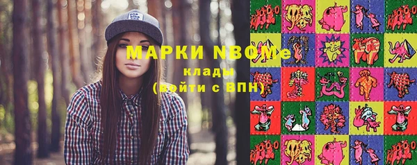 дмт Вяземский