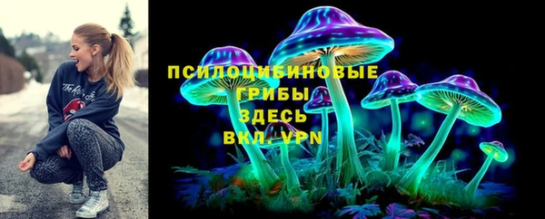 дмт Вяземский
